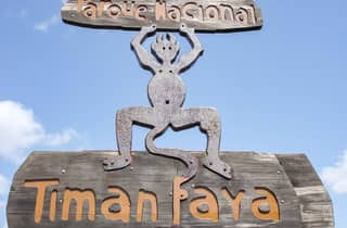 Lanzarote: Parco Nazionale di Timanfaya - Tour di mezza giornata