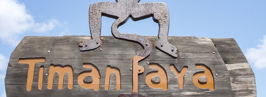 Lanzarote: Parco Nazionale di Timanfaya - Tour di mezza giornata