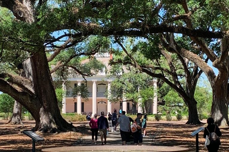 New Orleans: Oak Alley Plantation Tour and Transportation New Orleans: Oak Alley Plantation Tour