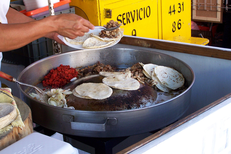 Mexico City: Guided Taco Journey Across 4 Regions