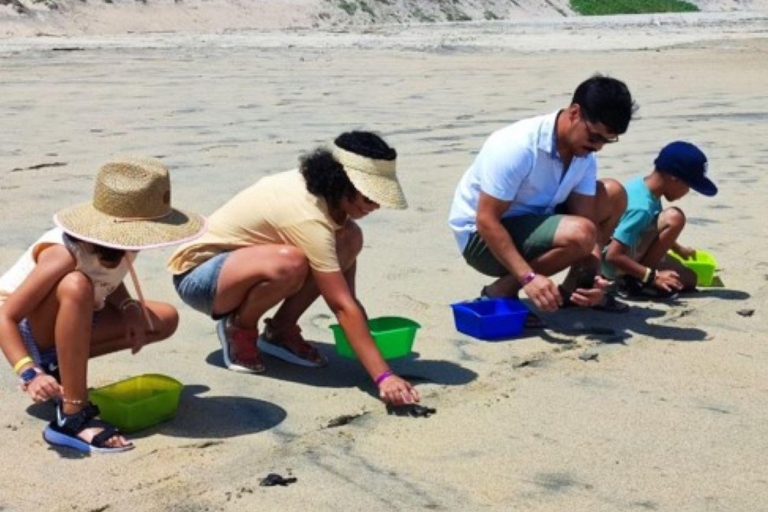 Huatulco: Prywatne doświadczenie wypuszczania żółwi
