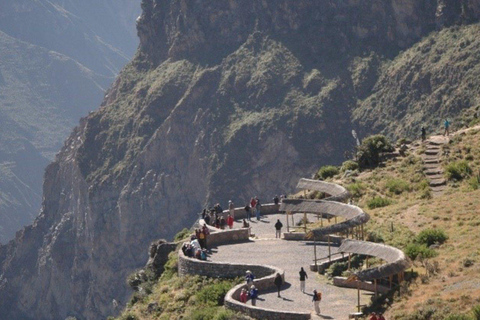 Van Chivay - Colca | Route Chivay - Puno