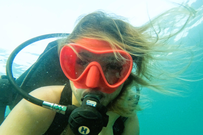 From Abu Dhabi: Scuba Dive and Snorkeling with BBQ, Transfer