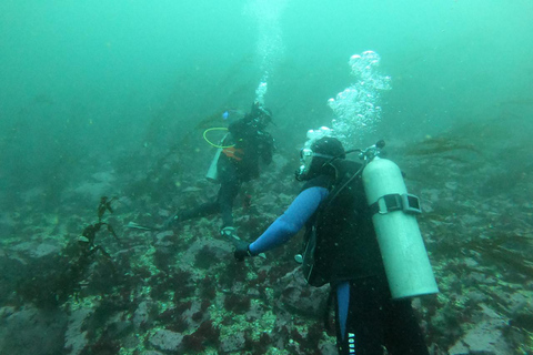 Lima: Descubra o mergulho autônomo - Primeira experiência