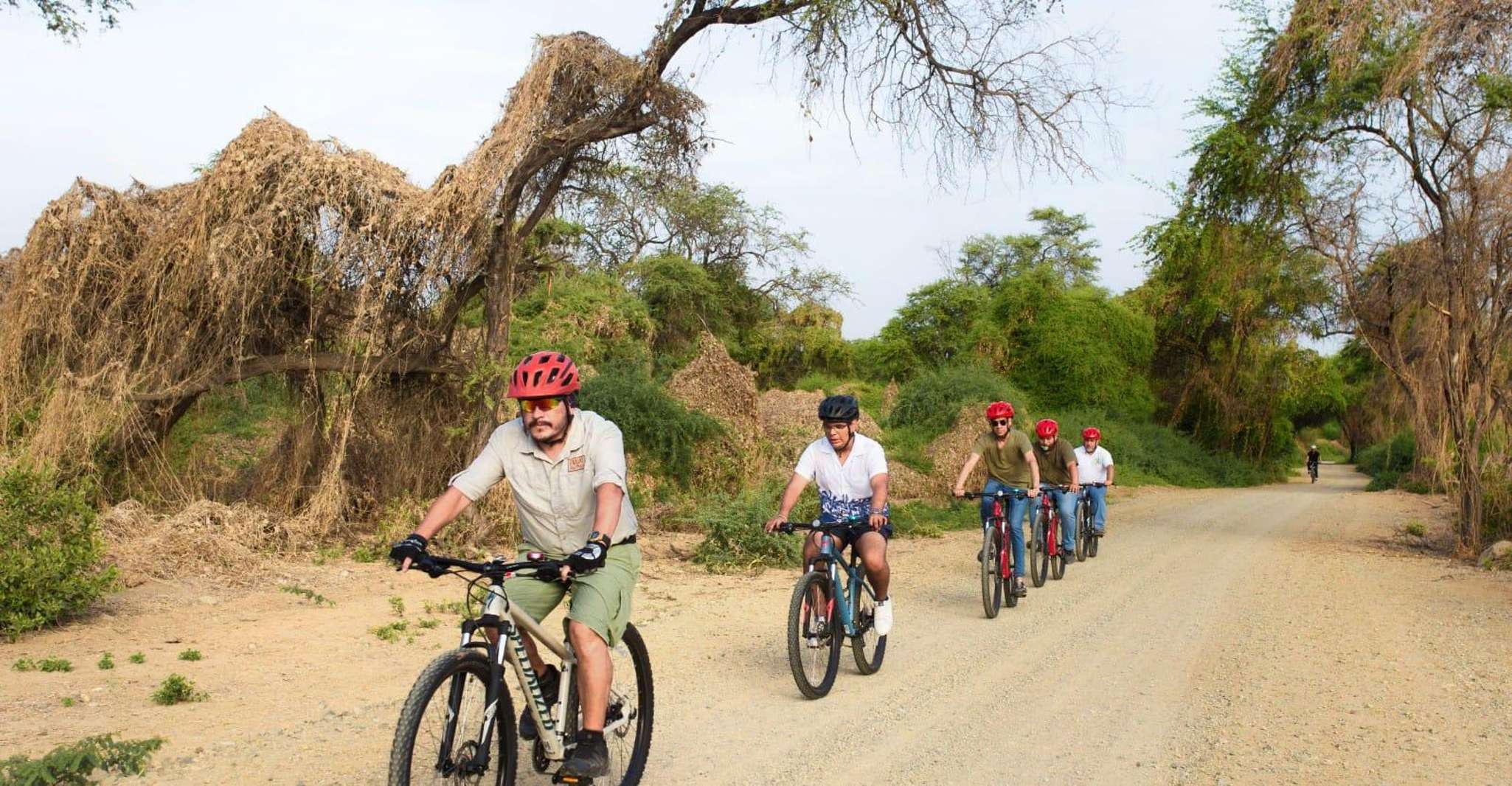 Mountain bike Specialized tour in the Pomac Forest Sanctuary - Housity