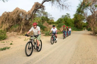 Tour especializado en bicicleta de montaña en el santuario del bosque de Pomac - Housity