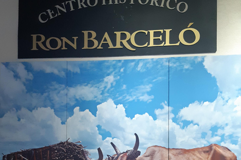 Punta Cana: Viagem Privada de Meio Dia Cultural com Sabores DominicanosPunta Cana: viagem cultural privada de meio dia pelos sabores dominicanos