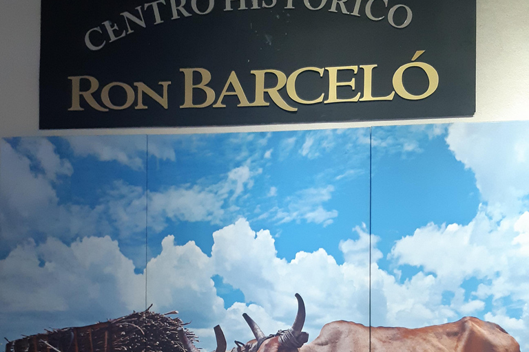 Punta Cana: Viagem Privada de Meio Dia Cultural com Sabores DominicanosPunta Cana: viagem cultural privada de meio dia pelos sabores dominicanos