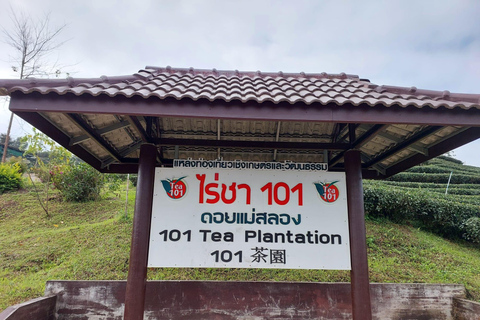 Chiang Rai: Mountains Discovery Doi Mae Salong & Doi Tung Mountains Discovery:Doi Mae Salong & Doi Tung (Private Tour)