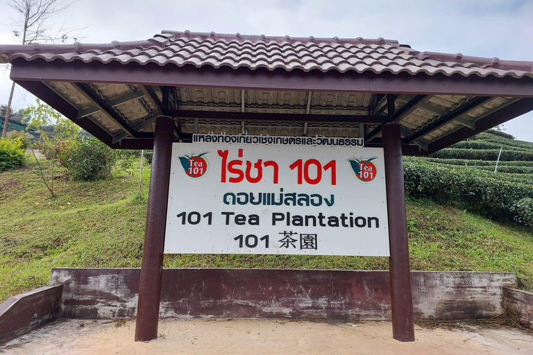 Chiang Rai: Mountains Discovery Doi Mae Salong & Doi Tung Mountains Discovery:Doi Mae Salong & Doi Tung (Private Tour)