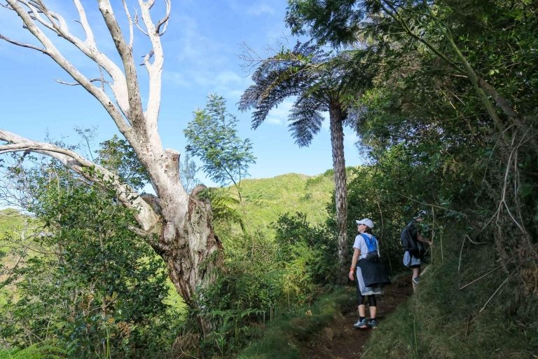 Group Hiking at Dimitile, Reunion Island. Group hike Dimitile