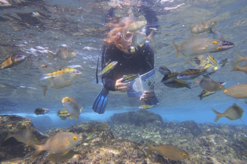 Guided Snorkeling Experience