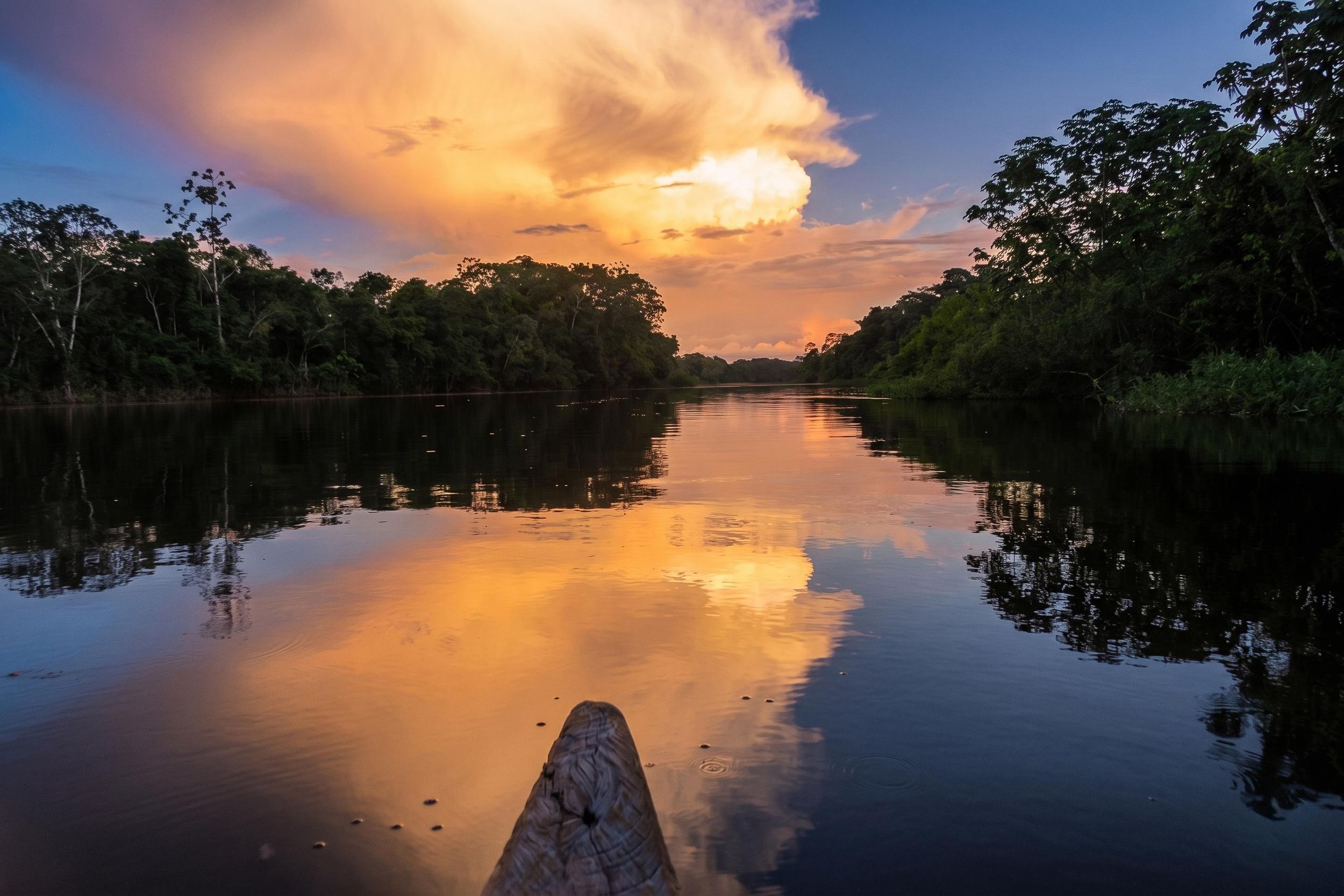 Ab Iquitos: Bootstour, Angeln und nächtliche Erkundung