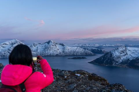 Tromsø: Midnight Sun Hike with Local Guides, Lunch & Photos