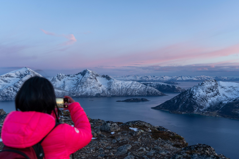 Tromsø: Midnight Sun Hike with Local Guides, Lunch & Photos