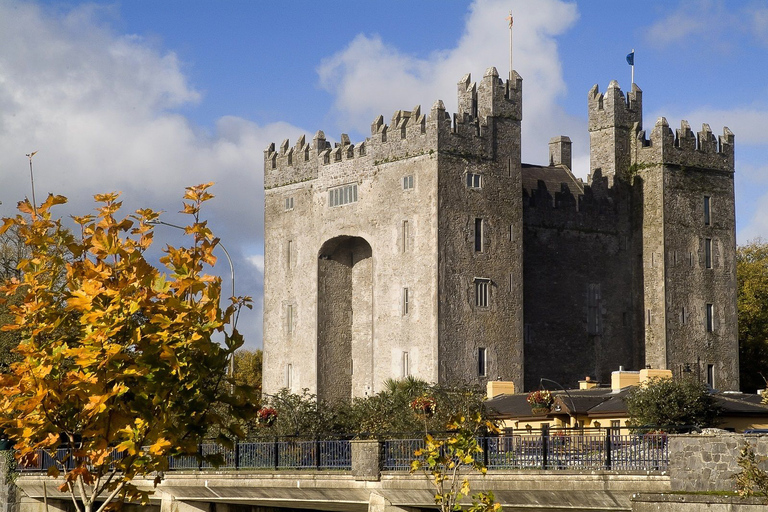 From Limerick: Full-Day Guided Tour of Cliffs of Moher