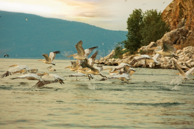 L'île aux serpents et le lac Prespa, depuis Ohrid.