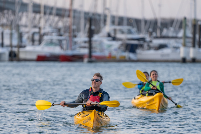 Auckland : Visite nocturne en kayak des lumières de la ville