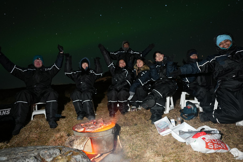 Depuis Tromsø : Tour des aurores boréales en minibus avec photos