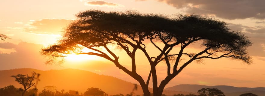 3 jours de safari en camping dans le Serengeti et le Ngorongoro