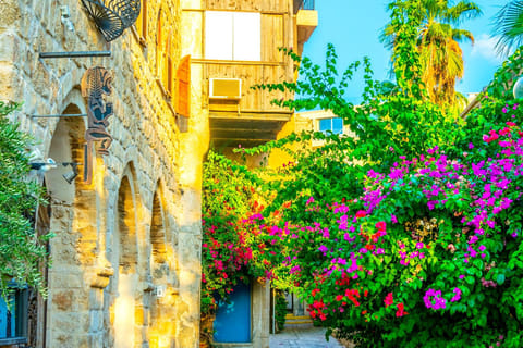 Tel Aviv: Jaffa, Neve Tzedek & Carmel Market with Tasting