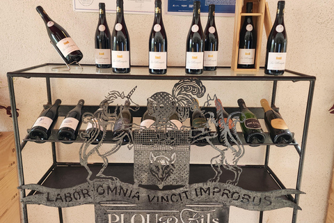 Loire Valley Wine Tour from Paris: 2 Wineries & 10 Tastings Premium Option