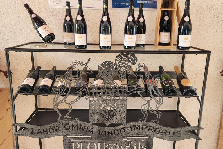 Loire Valley Wine Tour from Paris: 2 Wineries & 10 Tastings Premium Option