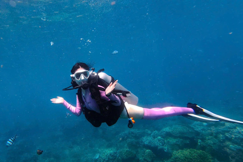 Da Nang: Cham Islands Fun Dive with Lunch and Transfers Fun Divers with Certified - two dive