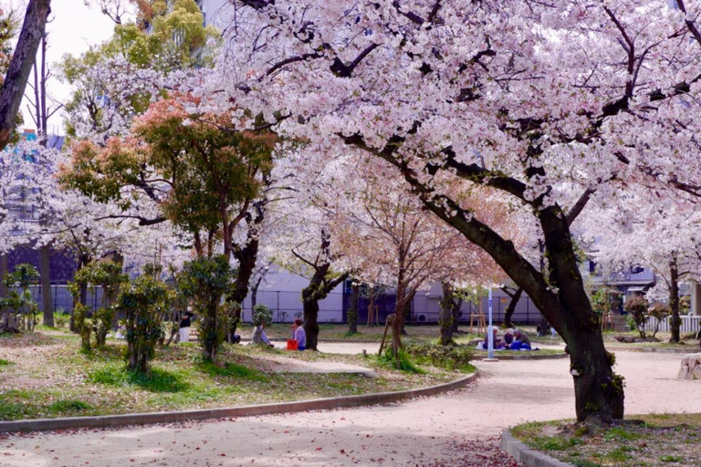 Osaka: Daytime Hanami (Cherry Blossom) and Food Tour