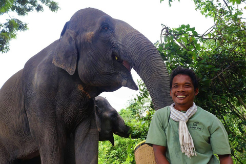 Tour en grupo reducido del Bosque de Elefantes de Kulen en Siem Reap