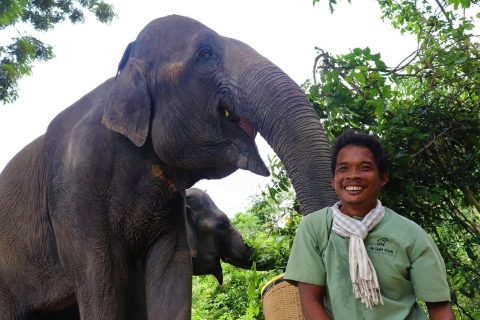 Siem Reap: Small Group Tour of Kulen Elephant Forest