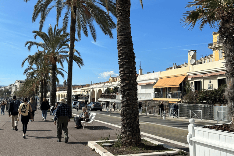 NICE BY ELECTRIC QUAD:panoramic tour from Nice with snack