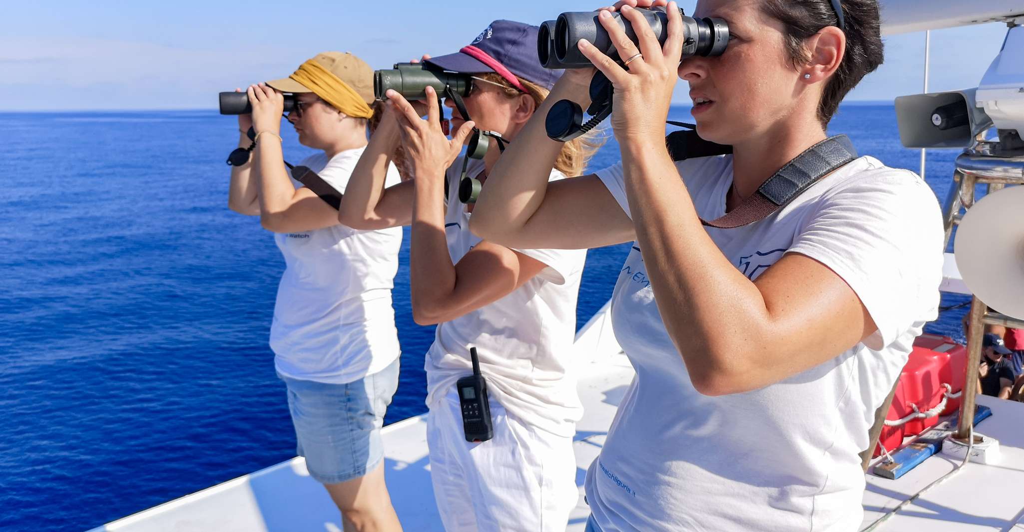 Genoa, Cetacean Watching Cruise with Marine Biologist Guide - Housity