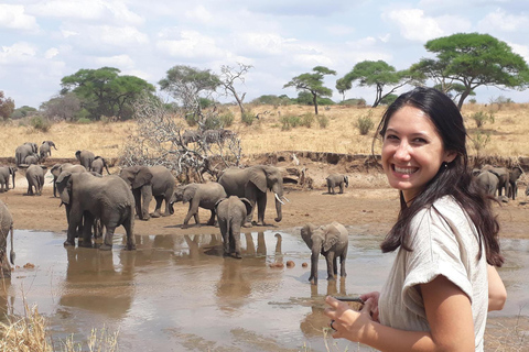 2-tägige Wellness Lodge Safari mit Rundflügen ab Sansibar