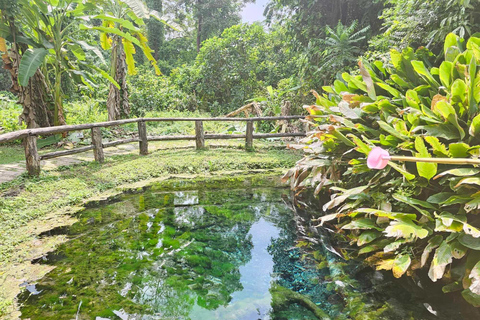 Chiangmai: Klebriger Wasserfall, Land der Engel und Wat ban den.