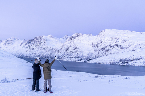 From Tromsø: Snowshoe Hike with Local Guides