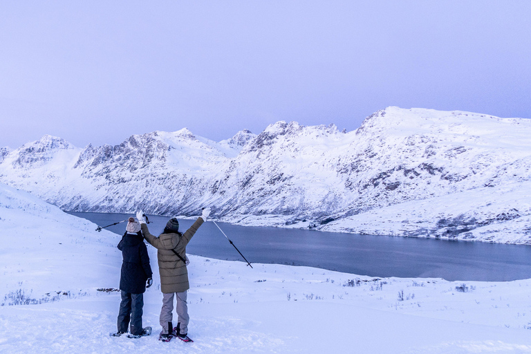 From Tromsø: Snowshoe Hike with Local Guides