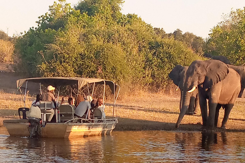 Operador turístico, cruceros fluviales y safaris en Chobe