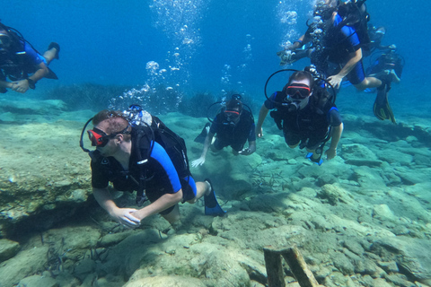 Heraklion: Scuba Diving Experience for Beginners Scuba diving course - without transfer