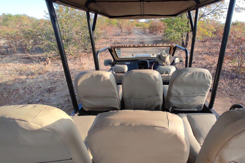 Parc national du Zambèze : Safari autogéré en voiture