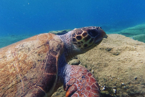 Agia Pelagia: Beginner's SSI Basic Diver Program w/2 Dives