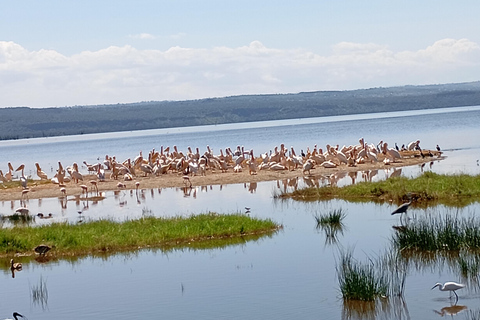 Dagsutflykt till Lake Elementaita &amp; Lake Naivasha från NairobiLake Naivasha&amp; Nakuru