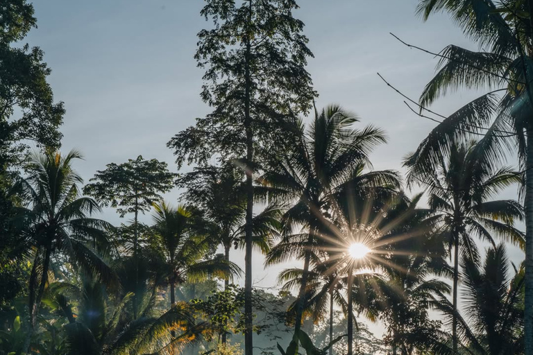 Tetebatu Waterfalls, Rice Terraces & Monkey Forest Day trip