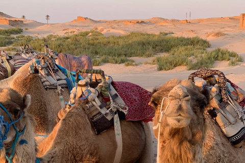 From Djerba: Douz, Matmata Star Wars Sites & local market