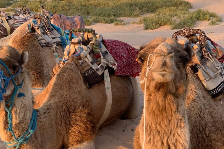 From Djerba: Douz, Matmata Star Wars Sites & local market