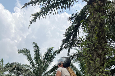 Full Day Tour: Aburi Botanical Gardens, ATV, & Waterfalls