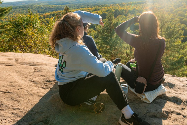 Toronto: Algonquin Park and Ragged Falls Day Trip