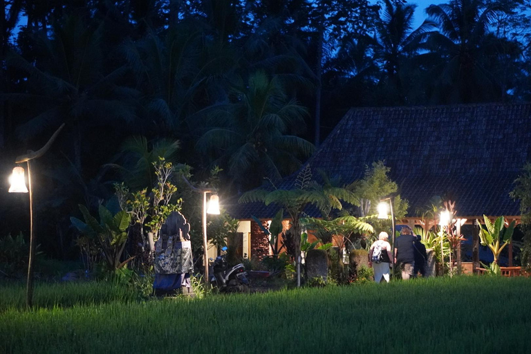 Bali: Magical Night Firefly Tour & Authentic Culture insight