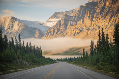 Champ de glace : glacier Crowfoot, lac Bow-Peyto et canyon Marble