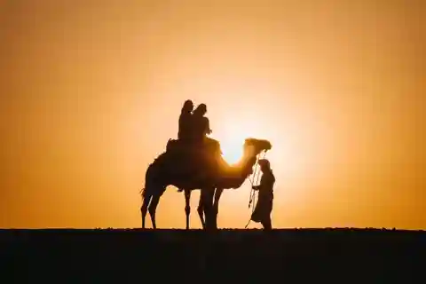 Désert d'Agafay : Balade à dos de chameau au coucher du soleil, dîner marocain et spectacle